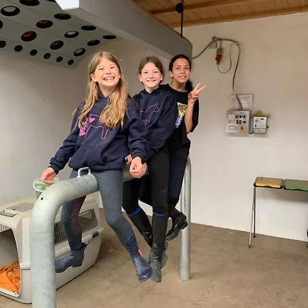Nyaraló Ferienblockhaus 1 Hoelle Neudrossenfeld