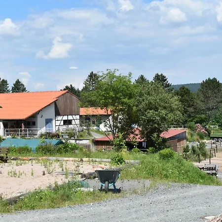 Ferienblockhaus 1 Hoelle Nyaraló Neudrossenfeld